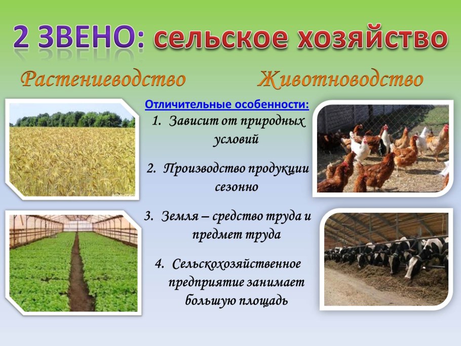 Агропромышленный комплекс.Растениеводство 9 класс