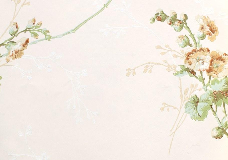 Бежевый фон