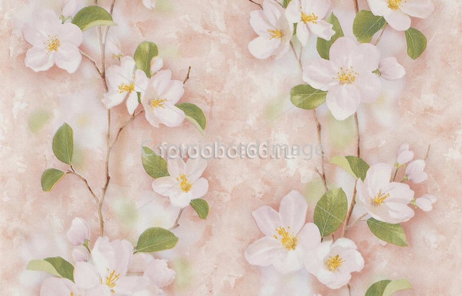 Обои бумажные