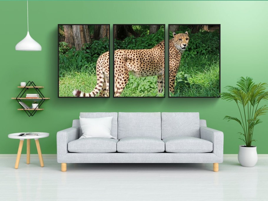 Постер гепард 50х70 в рамке