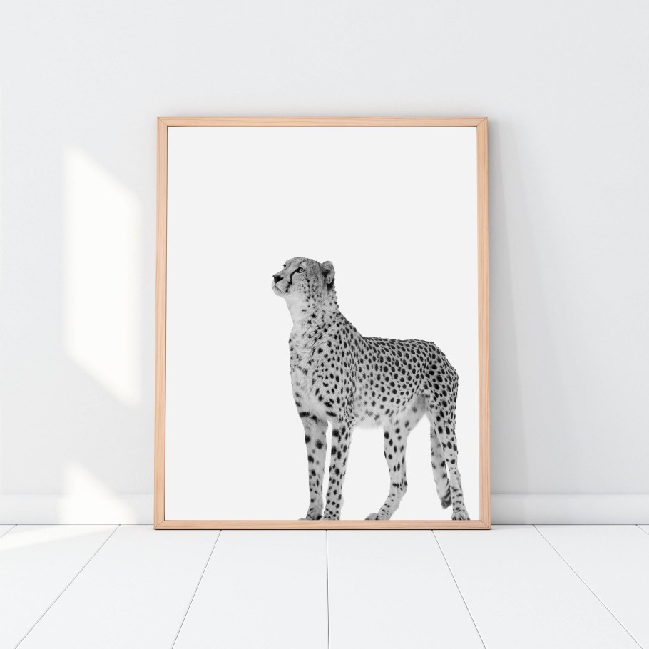 Постер "леопард"