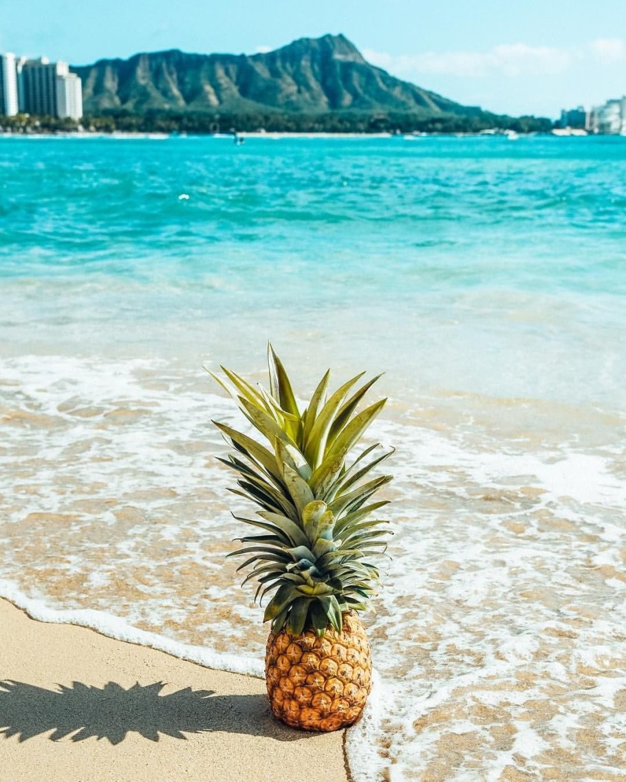 Море ананасов