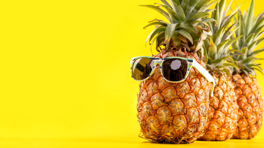 Dog looking on Pineapple