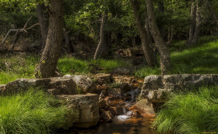 Лесной Родник