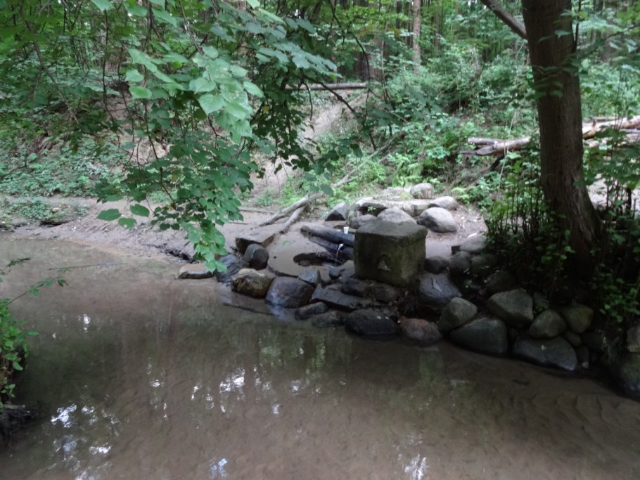 Битцевский лес Родник