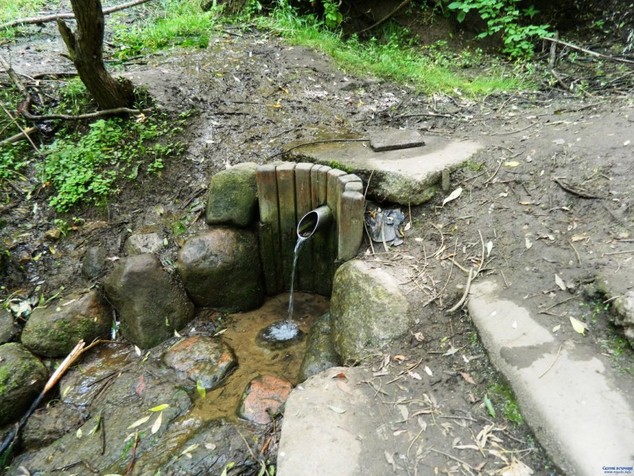 Родник Сходненской чаши