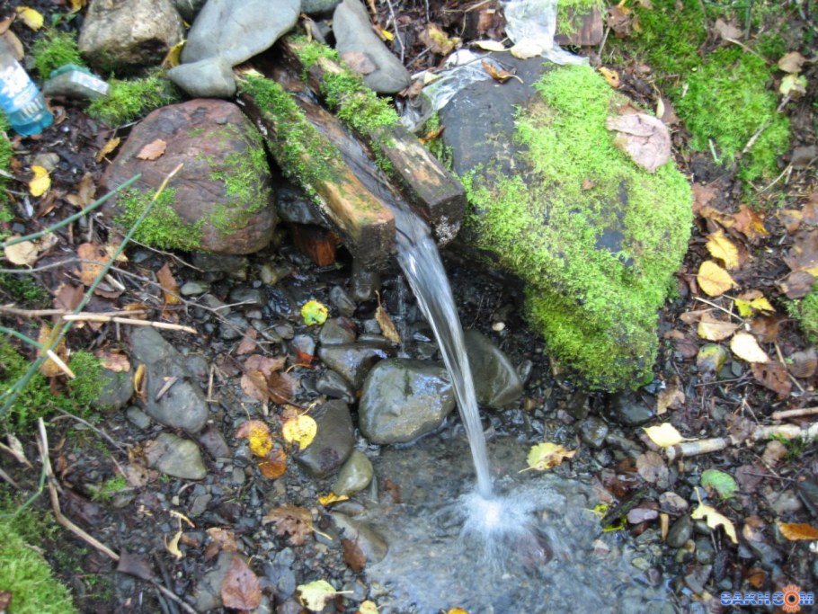 Вадим Ключник 22 апреля народный календарь