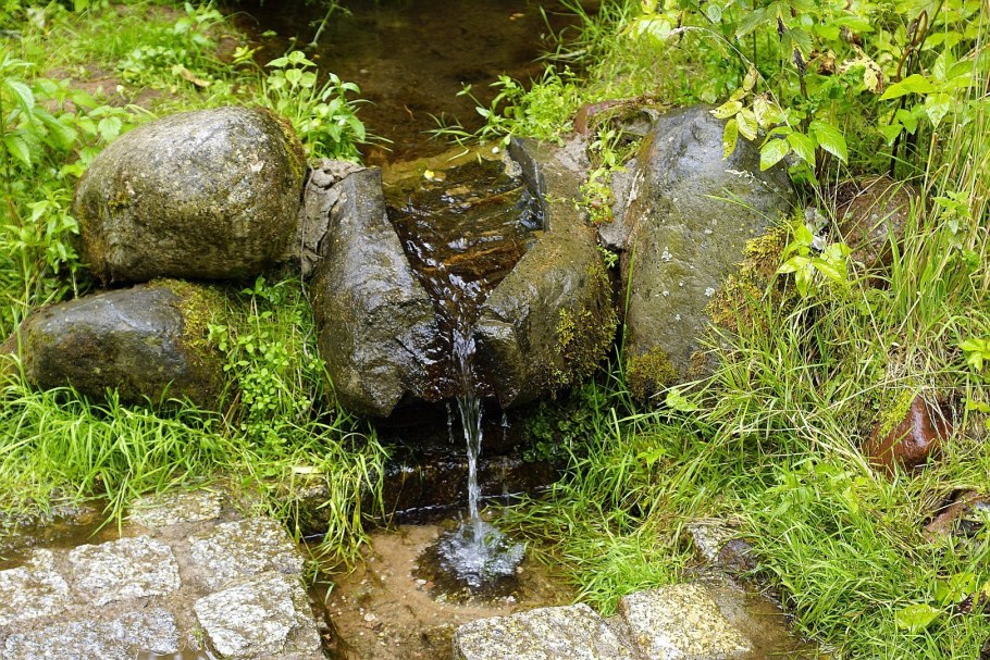 Исток реки Родник