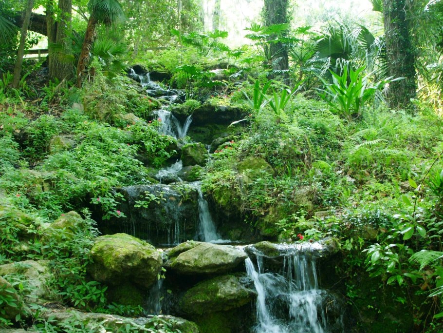 Родник природа