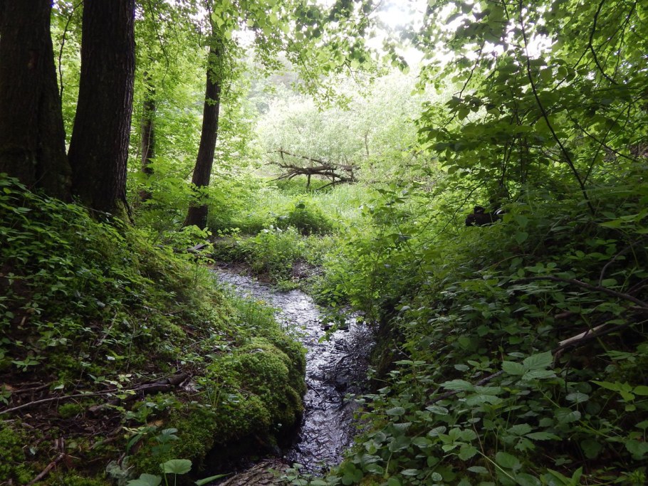 Родник Беларусь