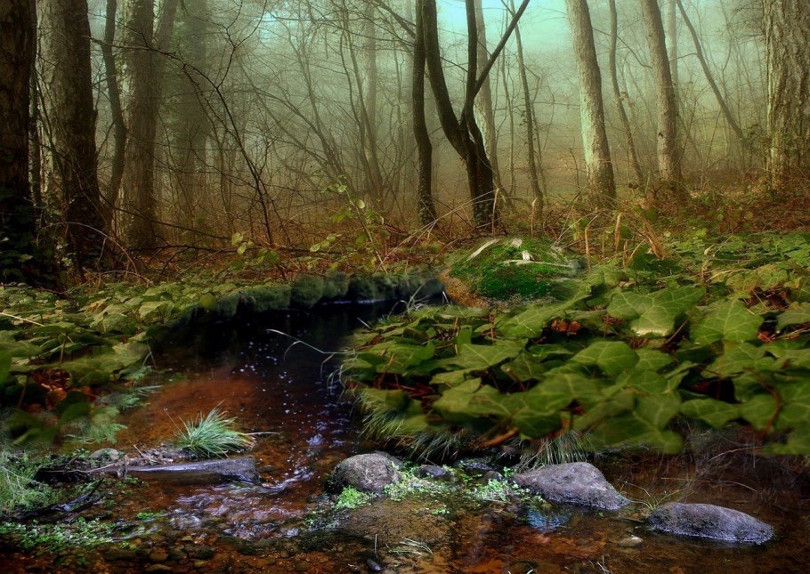 Лесной Родник