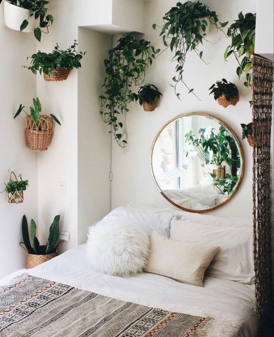 Цветы в интерьере квартиры