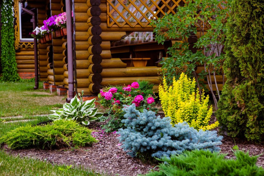 Туя Смарагд в ландшафтном