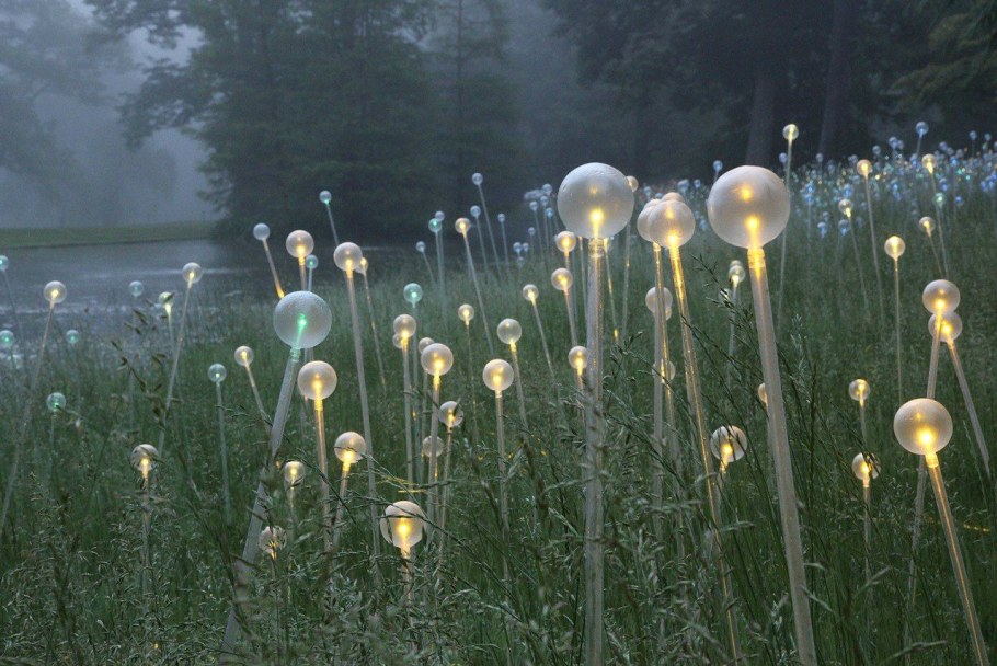 Фонари одуванчики