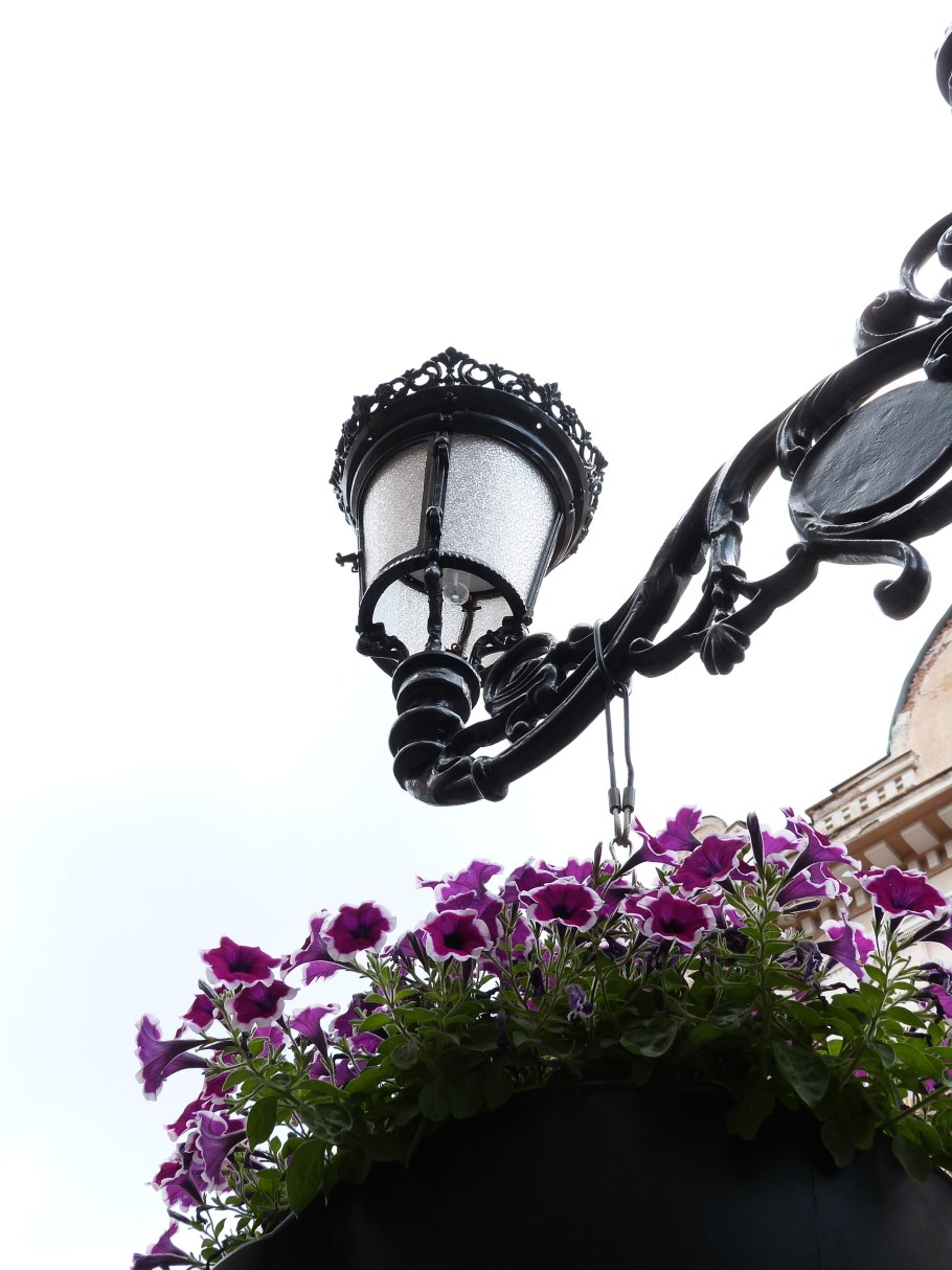 Цветы на фонарном столбе