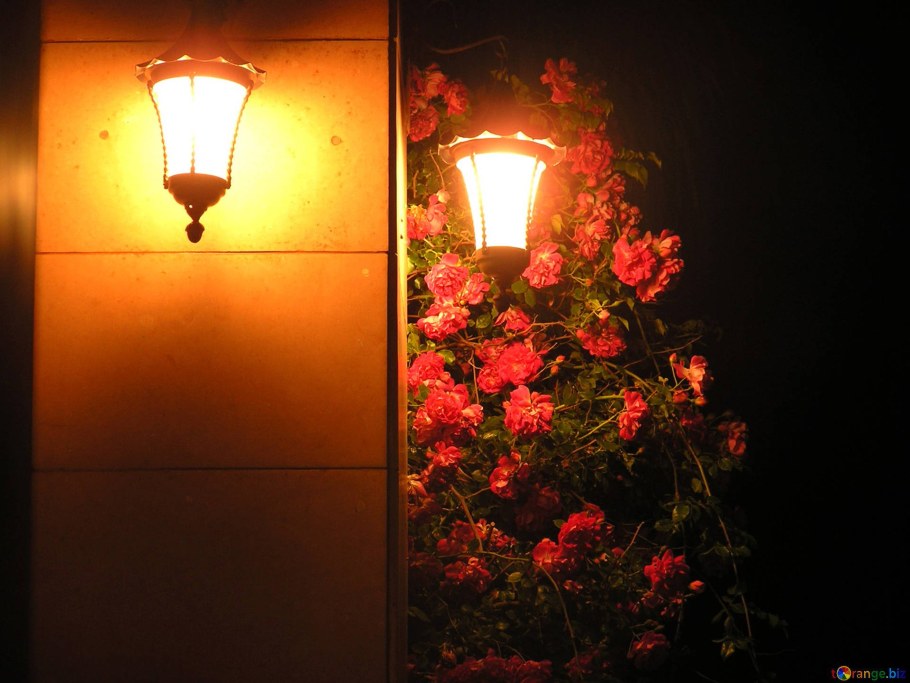 Свет вечерних фонарей