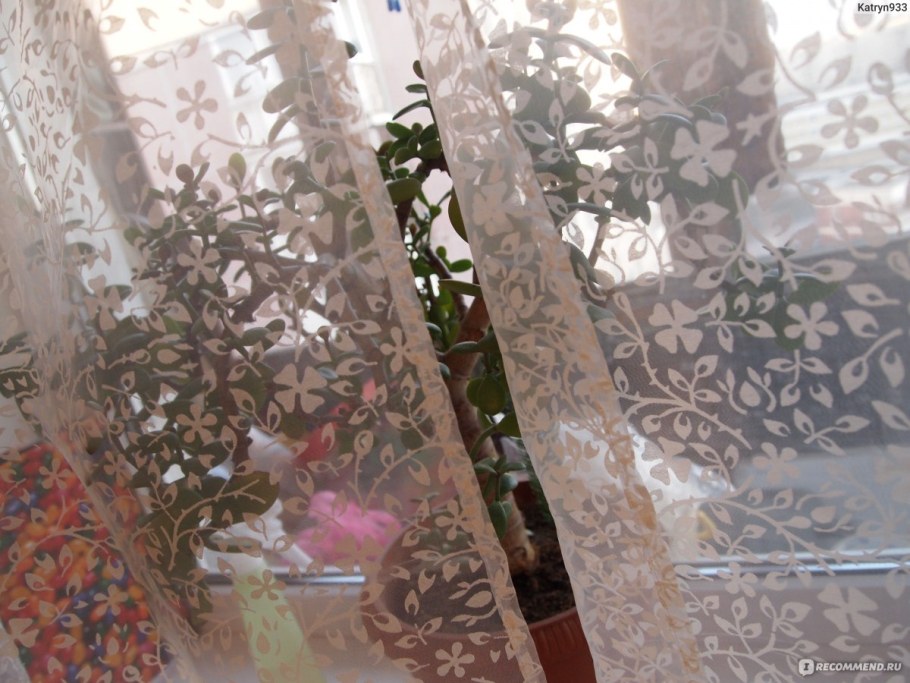 Тюль икеа БЭКТИСТЕЛЬ