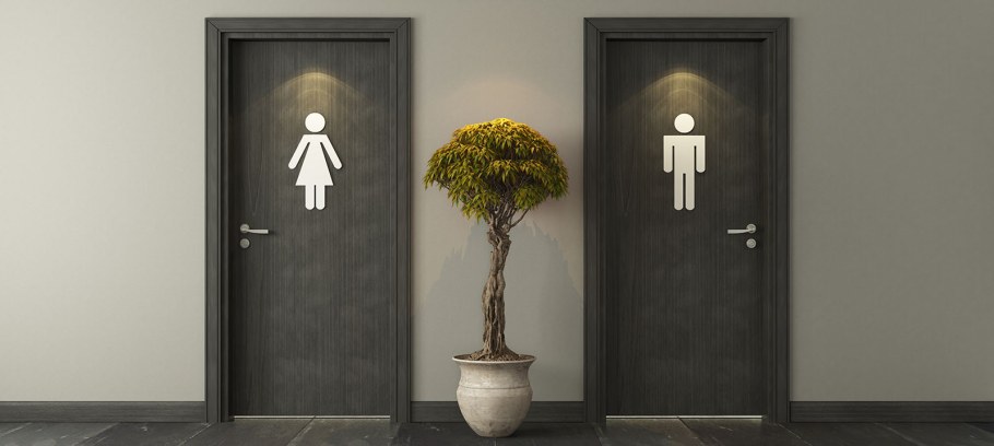 Дверь в туалет