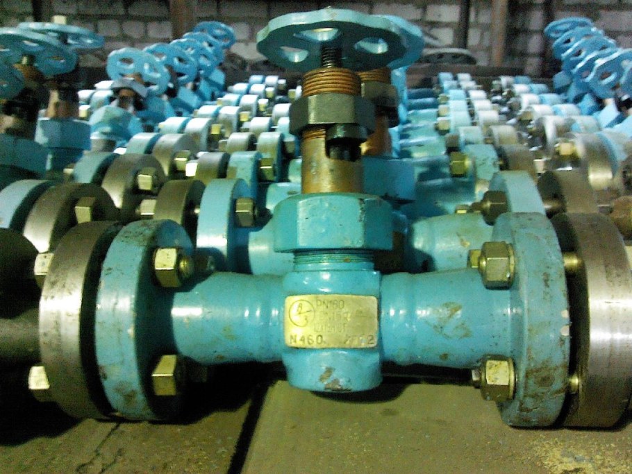 ЗКС 31лс77нж ду20 задвижка