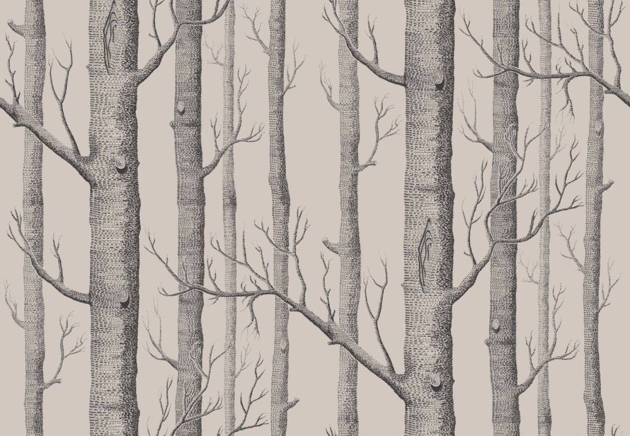 Английские обои Cole & son, коллекция New Contemporary 2, артикул 69/12147