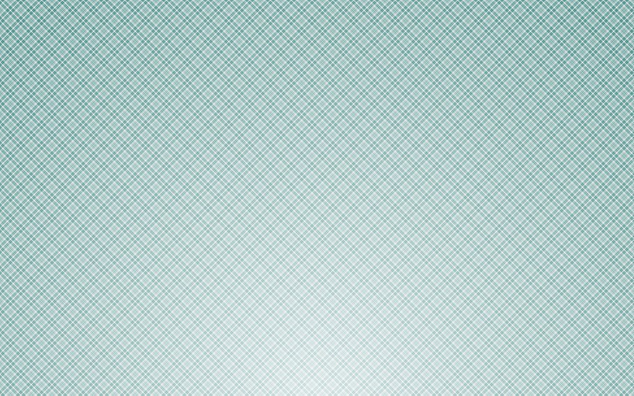 Защитная сетка гильош