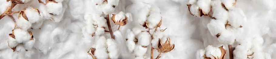 Фартук кухонный Panda 0241