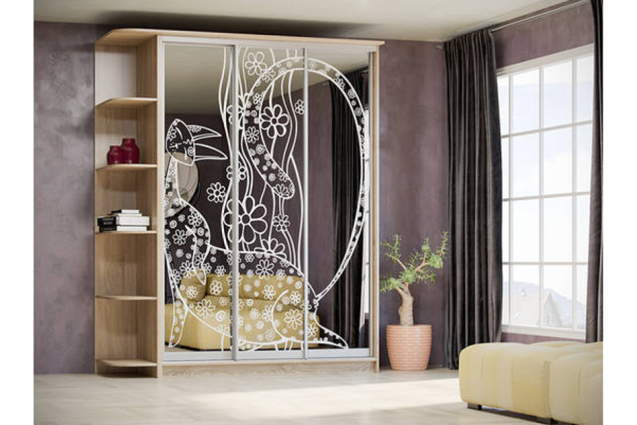 Шкаф-купе Лагуна-7