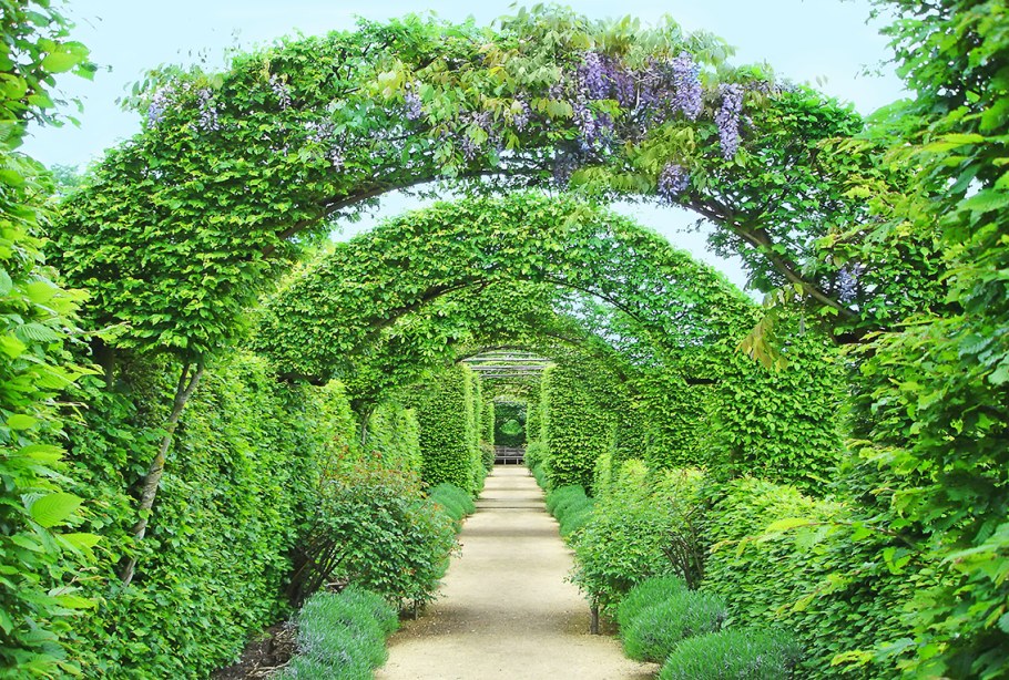 Зеленая арка