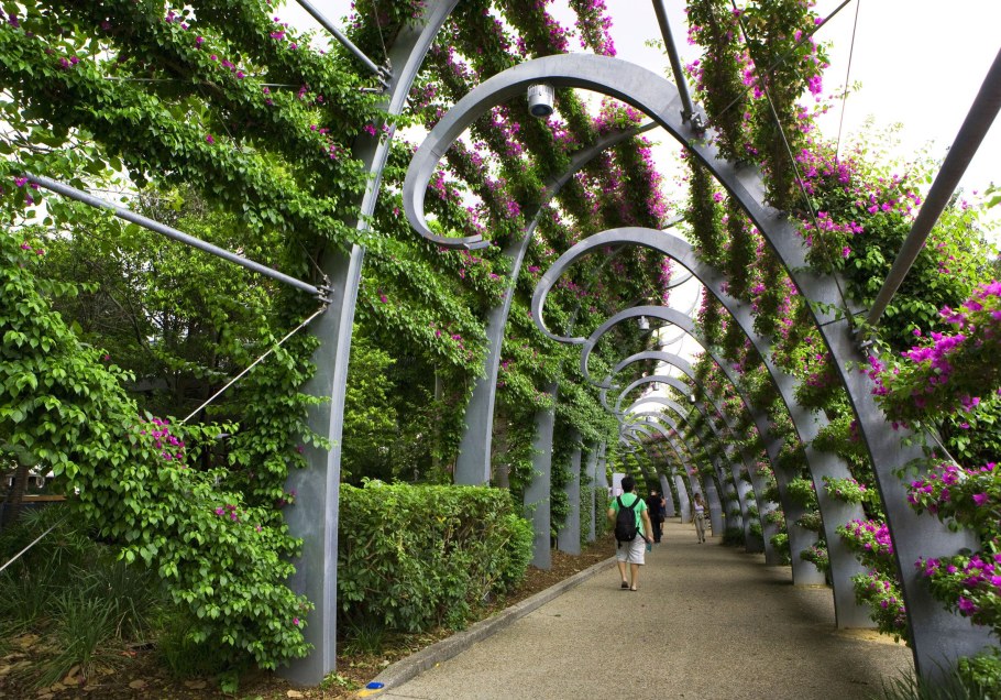 Вертикальное Озеленение в парке