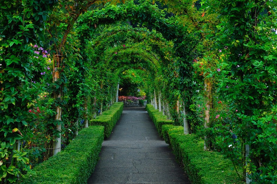 Анфилада в ландшафте сада