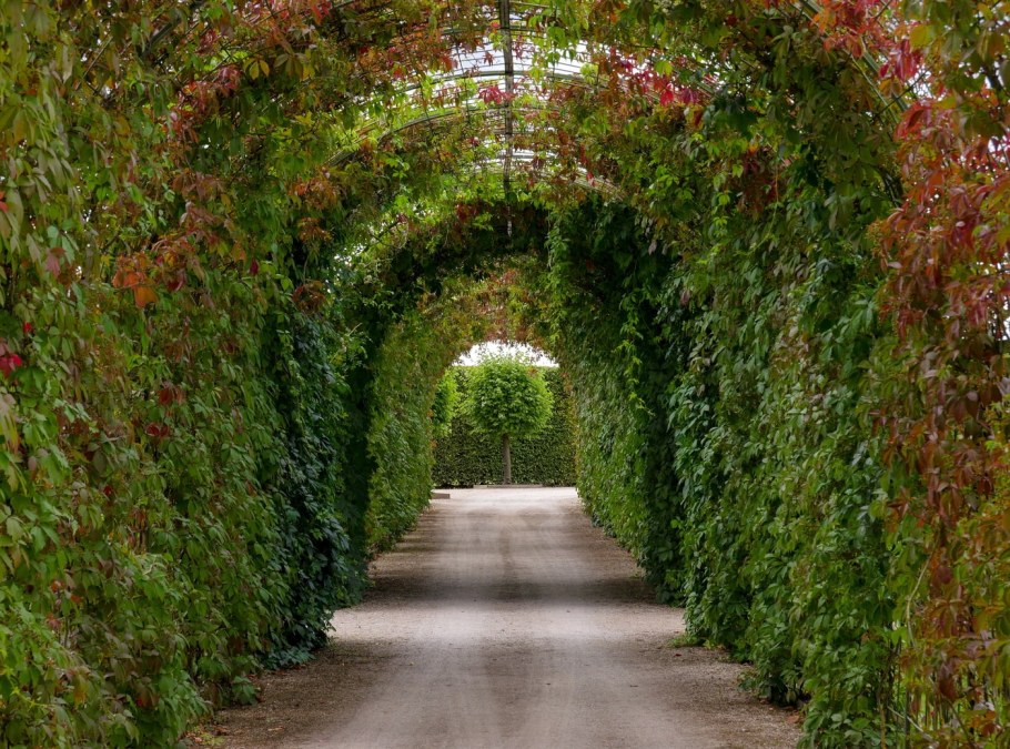 Арки, Берсо и перголы