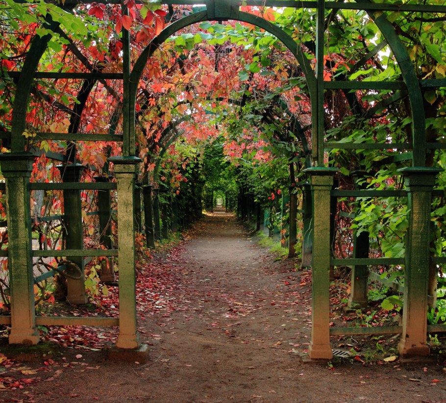 Арка в Петергофе