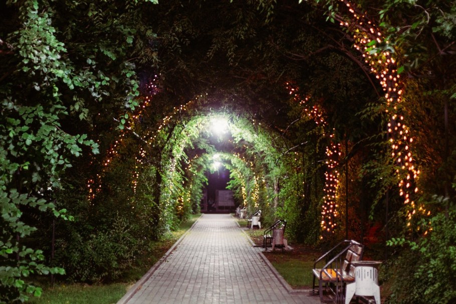 Зеленая арка