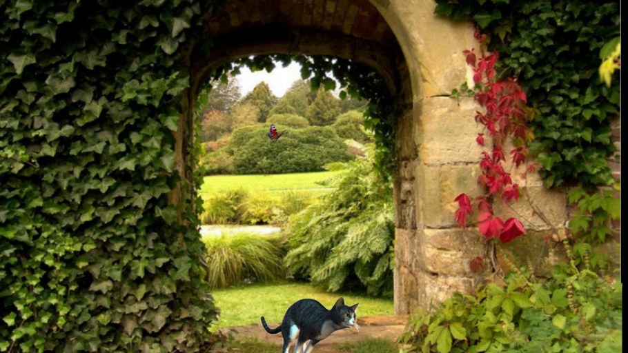 Плющ на арке