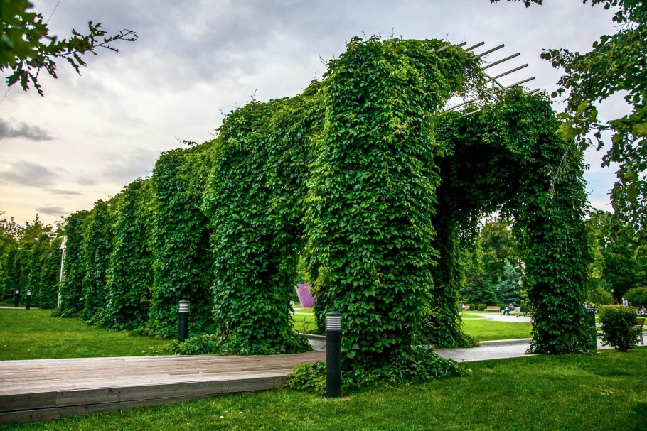 Пергола Берсо