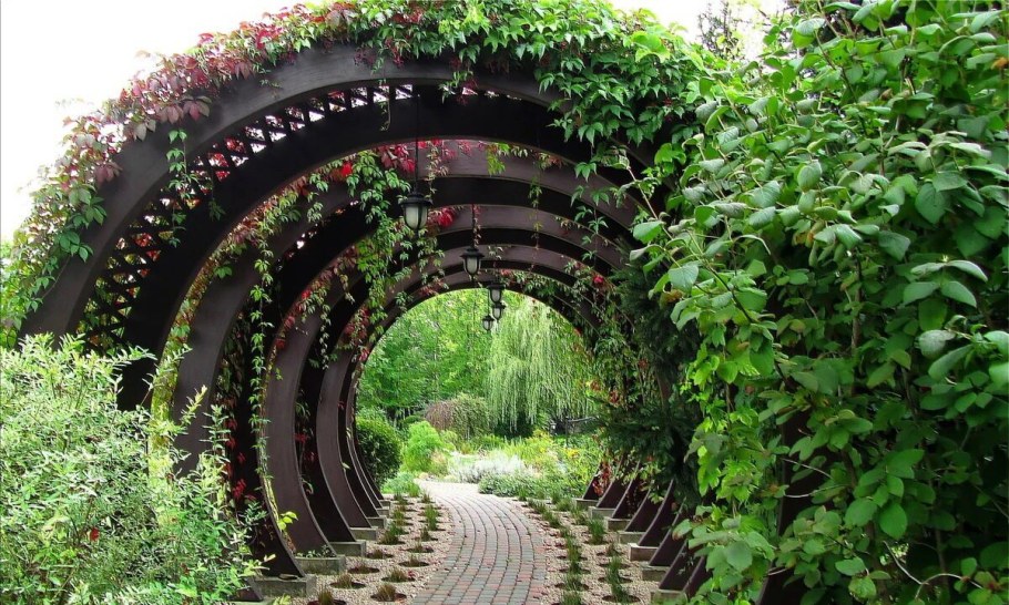 Берсо Ландшафтная