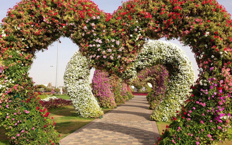 Берсо с розами