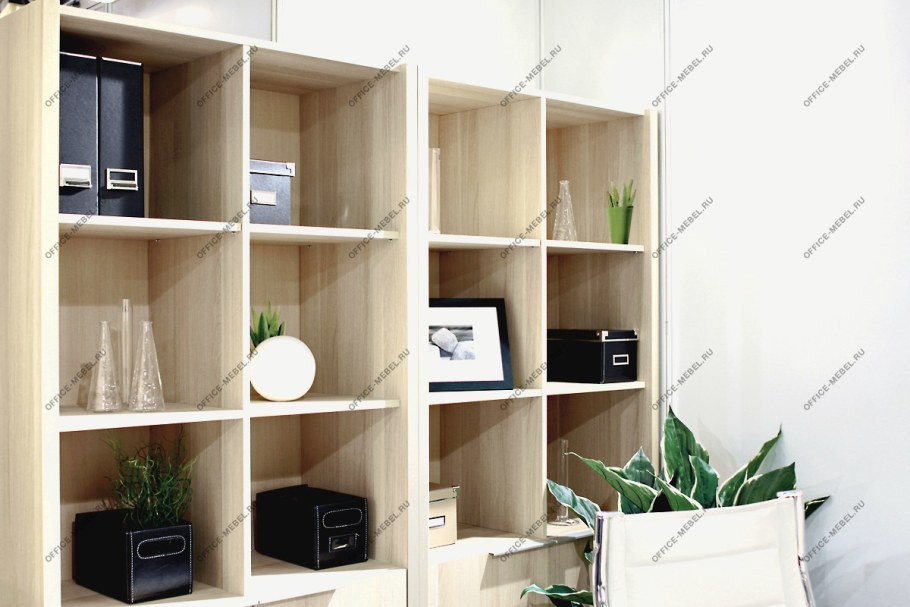 Кабинет руководителя акцент