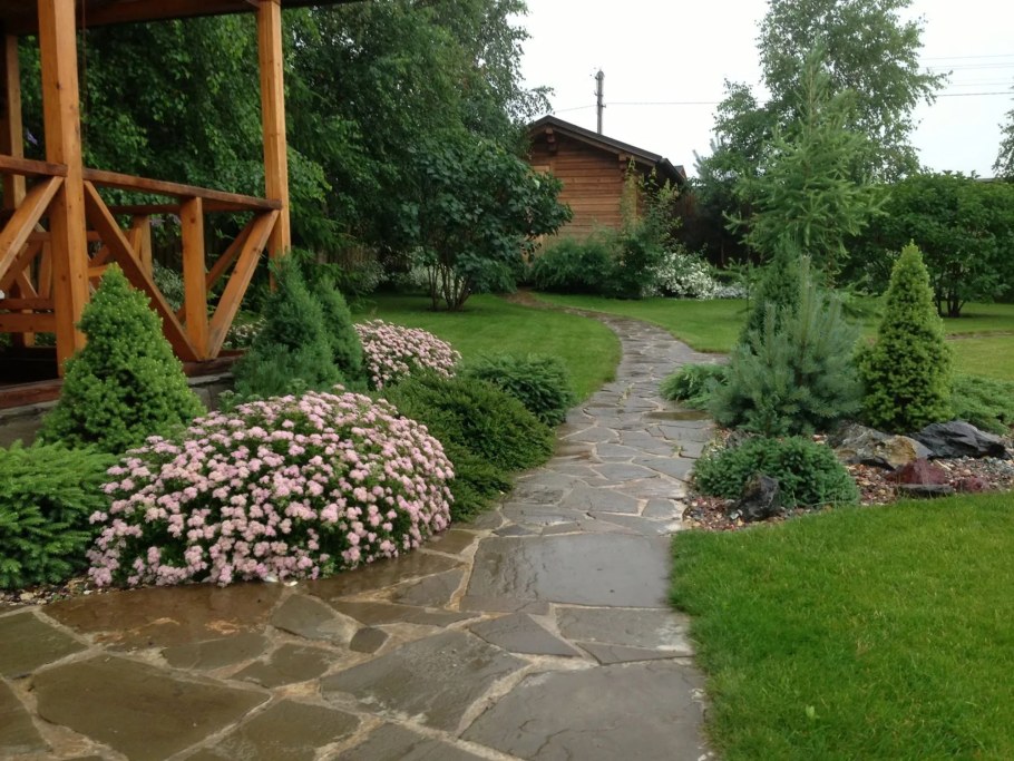 Спирея японская в рокарии