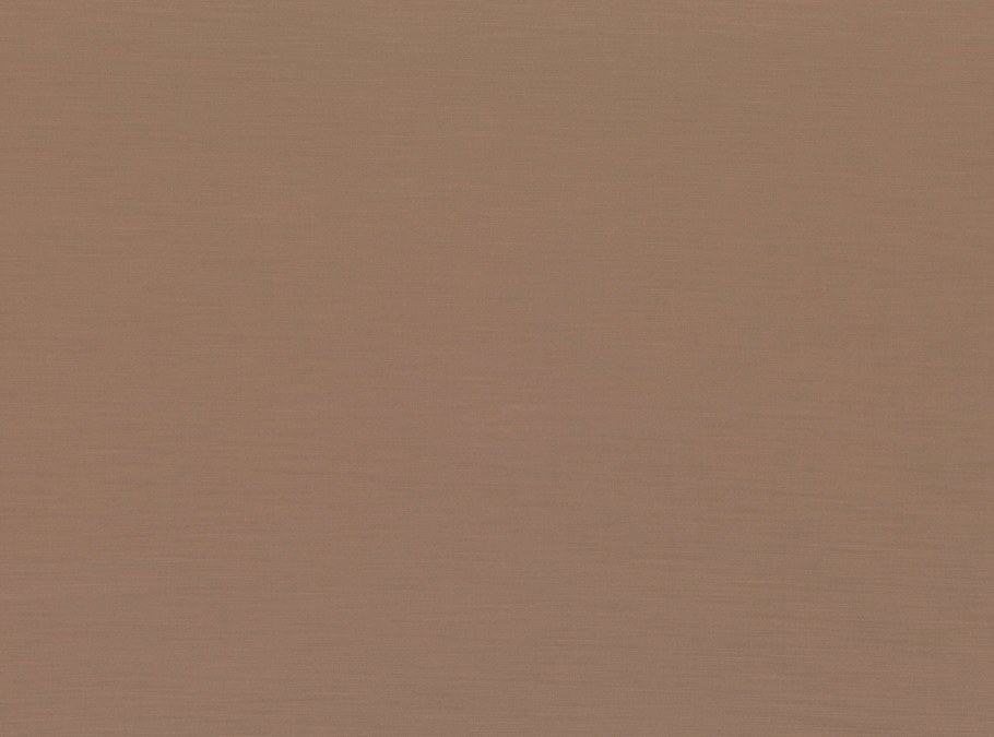 Цвет капучино