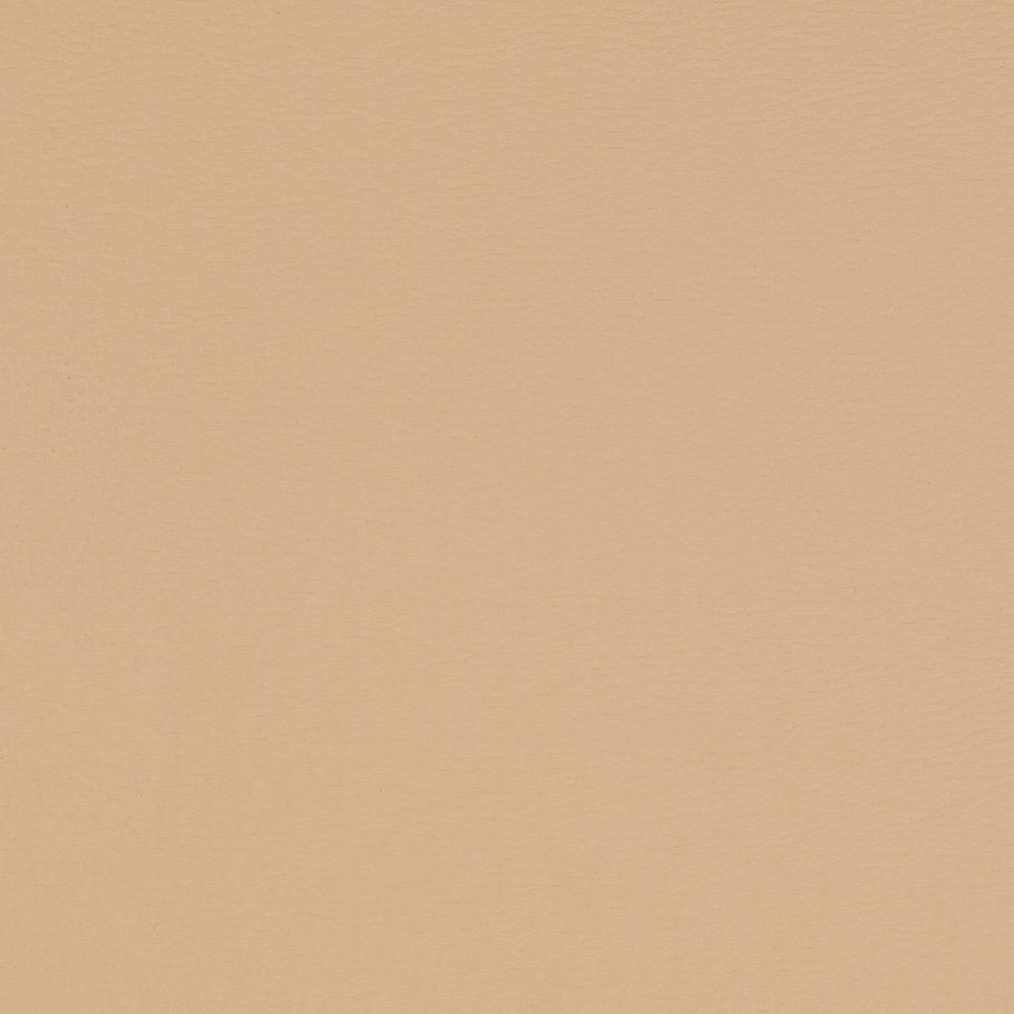 Цвет капучино однотонный