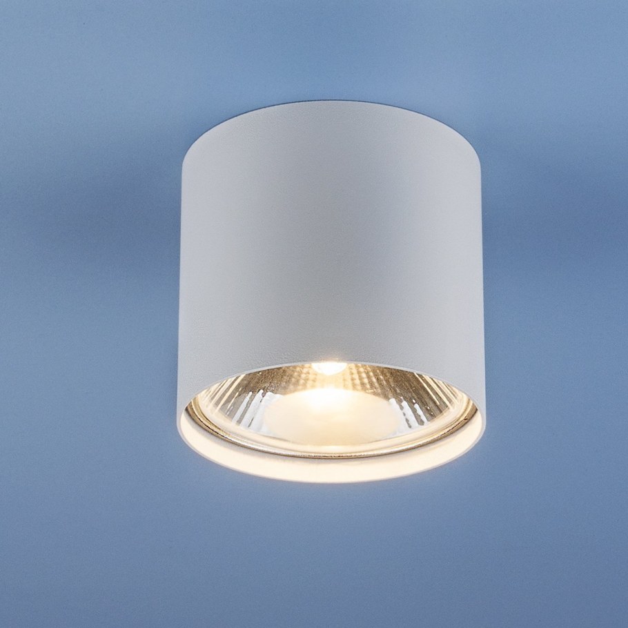 Накладной точечный светильник Elektrostandard 5463 WH белый Nowodvorski