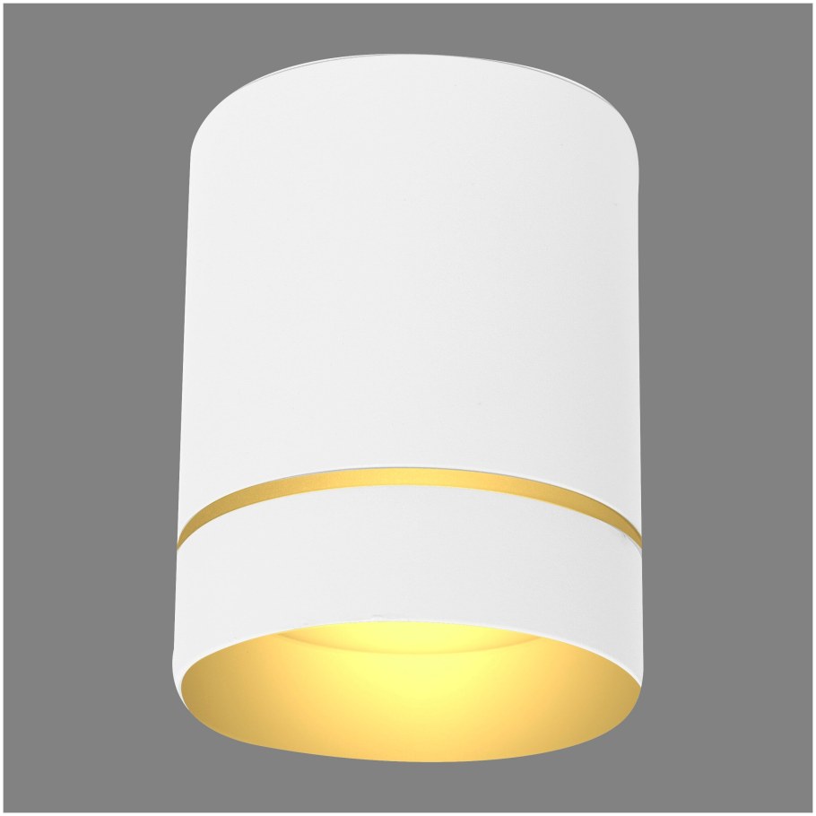 Светильник накладной светодиодный Elektrostandard dlr021