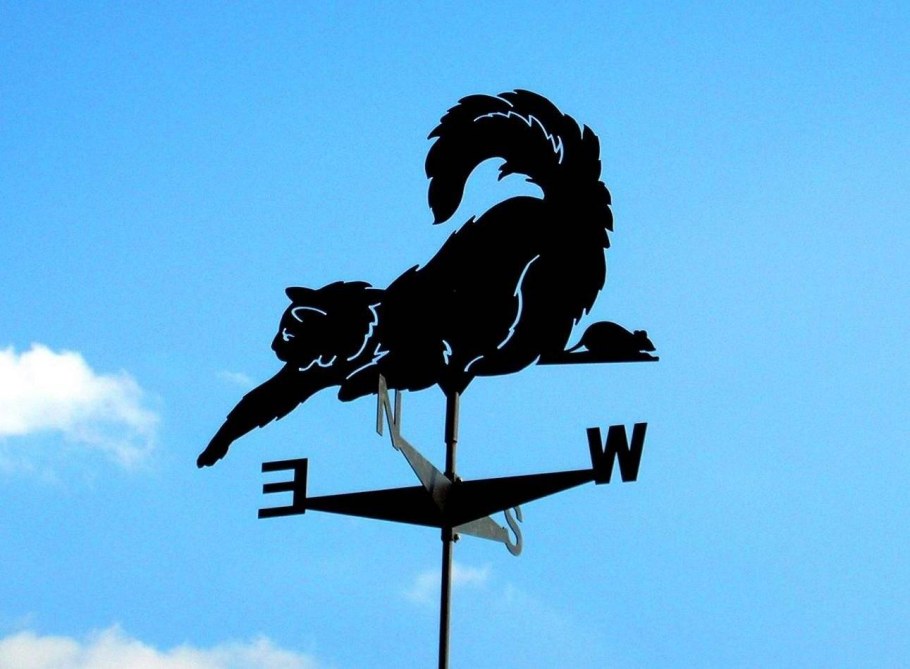 Флюгер Gala fl006-by