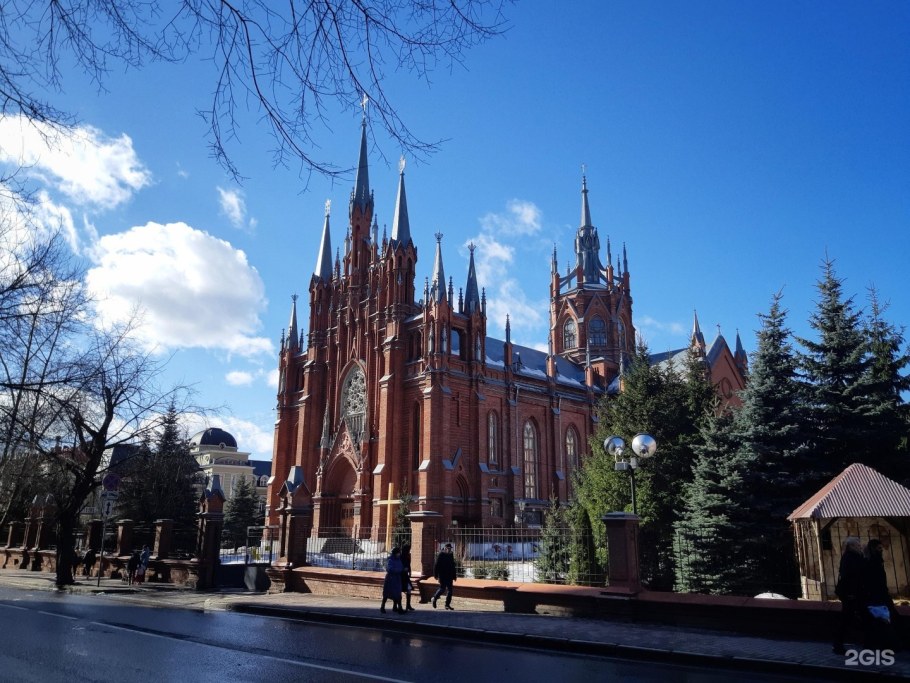 Собор Непорочного зачатия Пресвятой Девы Марии (Москва)