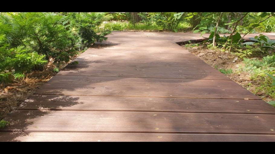 Дорожка в лесу из террасной доски