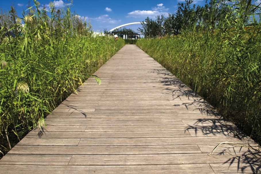 Экотропа деревянный настил