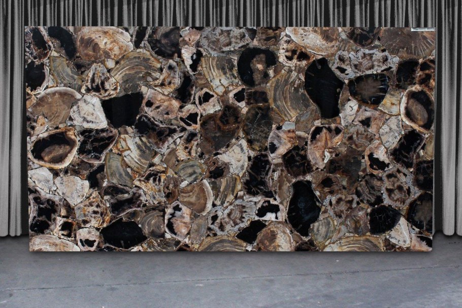 Камень Petrified Wood