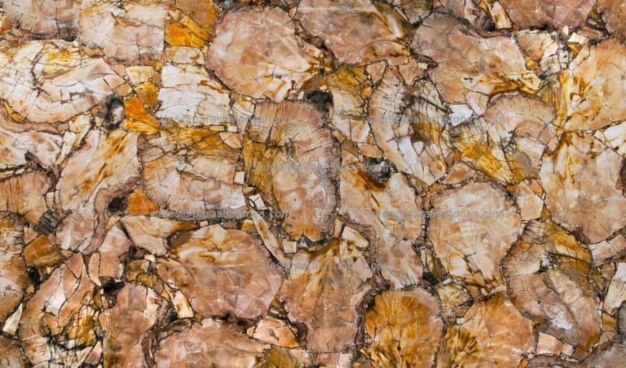 Камень Petrified Wood