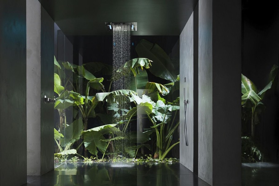 Растения за стеклом с подсветкой